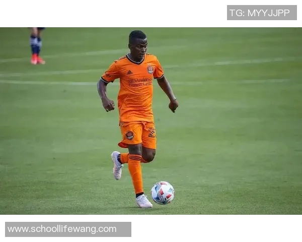 盐城湖与休斯顿迪纳摩的精彩对决揭示中美足球的差距与未来发展潜力