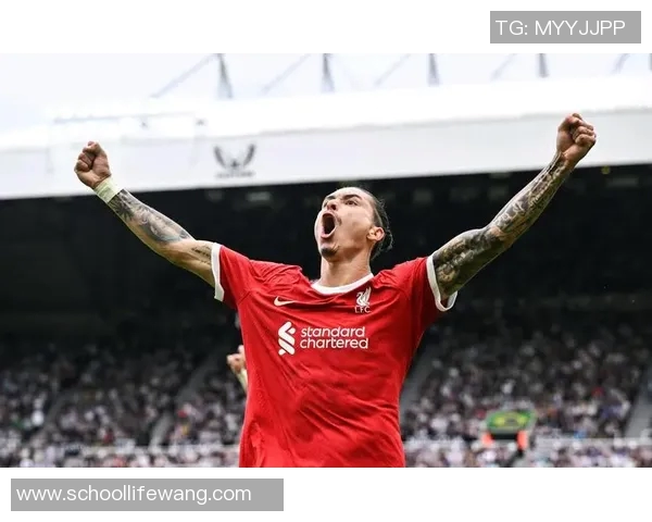 努涅斯的崛起与挑战：在足球世界中书写属于自己的传奇篇章